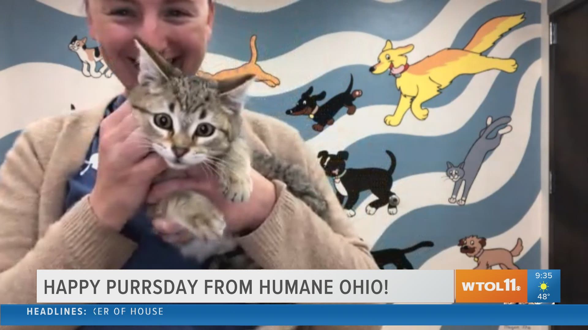 Laura Simmons Wark and Melvin the "spokescat" from Humane Ohio join WTOL 11's Your Day to discuss Giving Tuesday on Dec. 1 and cold weather and helping feral cats.