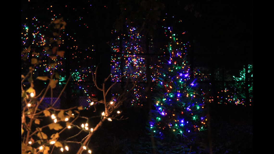 Toledo Zoo Lights Before Christmas Guide 2022