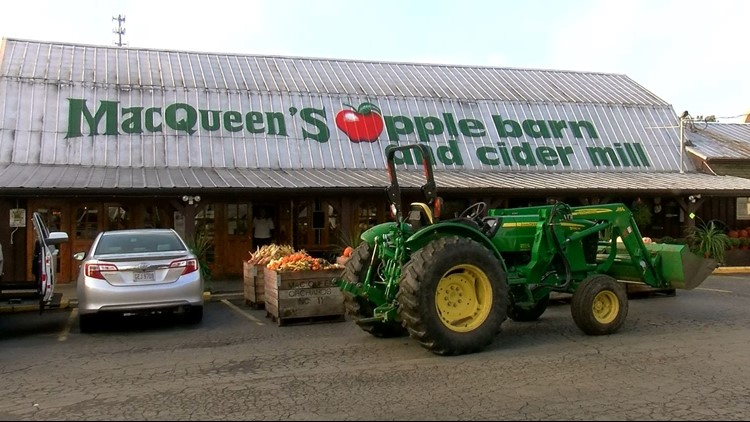 Mcqueen apple discount orchard