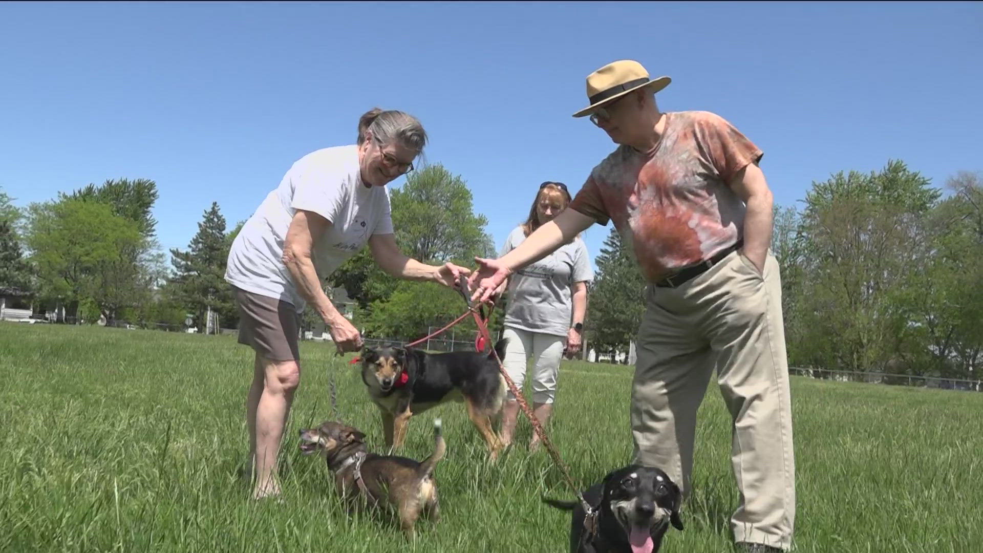 On Tuesday, Bowling Green City Council approved the lease of the northern portion of Ridge Park to become a city dog park.