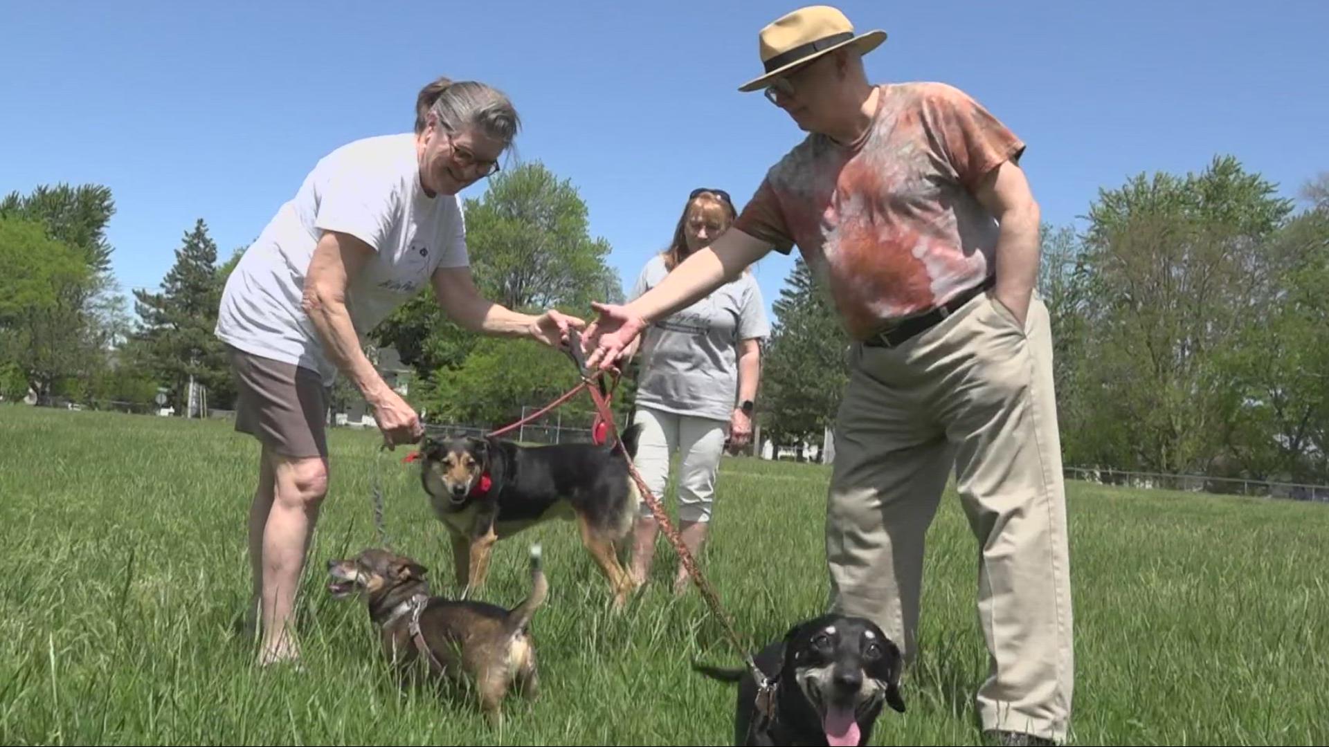On Tuesday, Bowling Green City Council approved the lease of the northern portion of Ridge Park to become a city dog park.