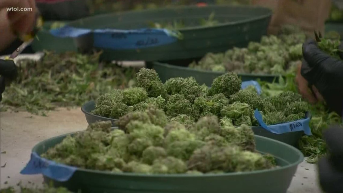 Breaking down Issue 2 Marijuana on the Ohio ballot