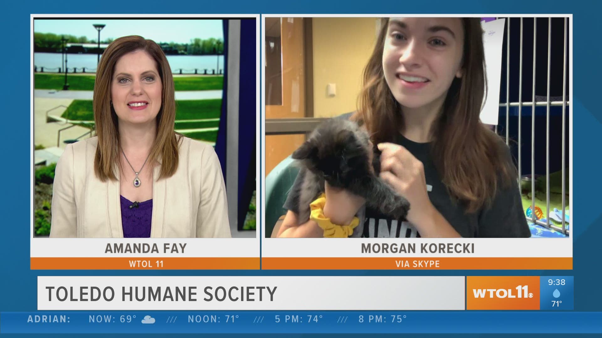 The Toledo Humane Society says summer is the perfect time to add a furry friend to your clan!