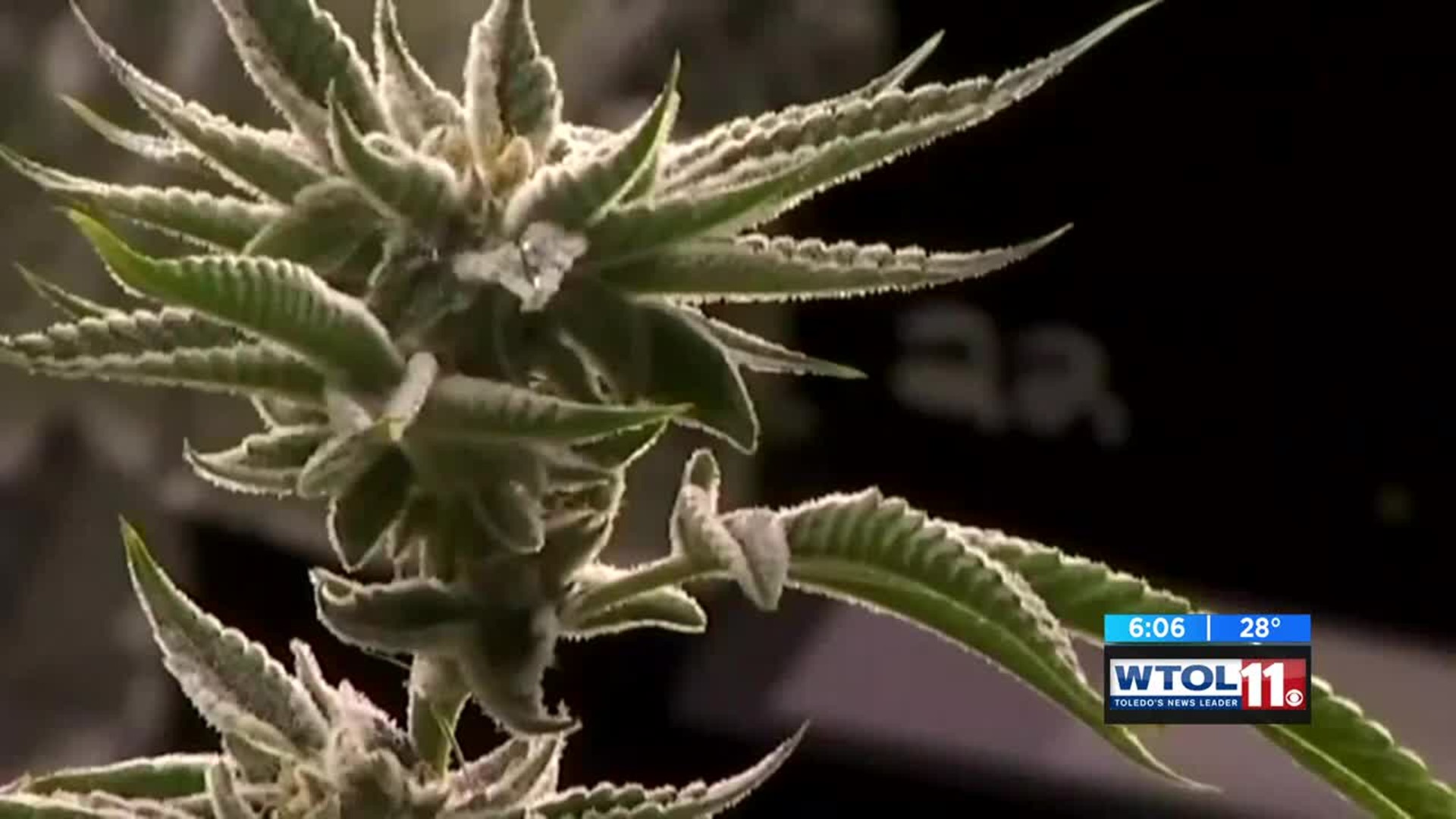 Medical Marijuana dispensary in Sandusky poised to open its doors
