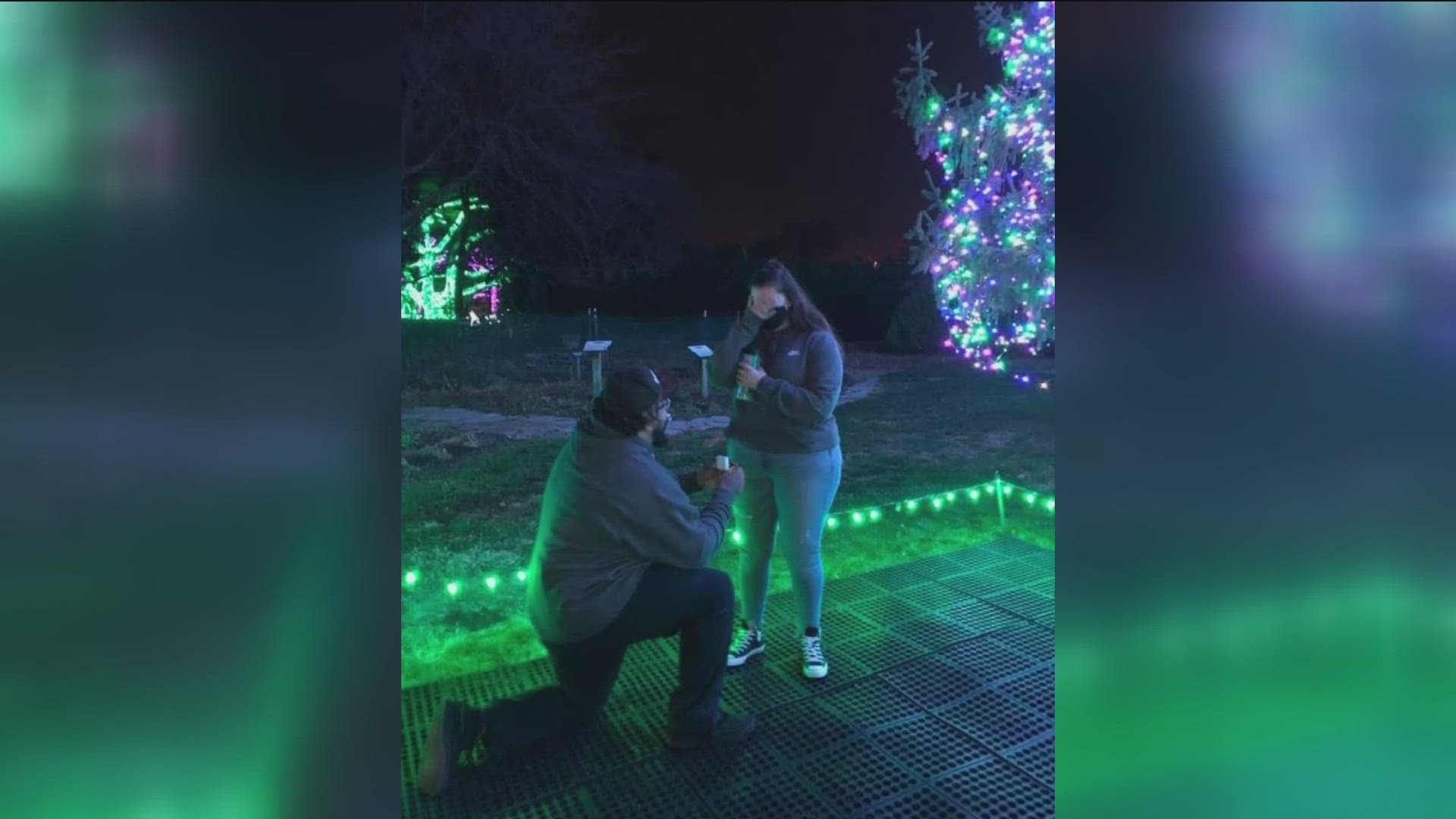 Meet just two of the many couples who have gotten engaged during Lights Before Christmas at the Toledo Zoo.