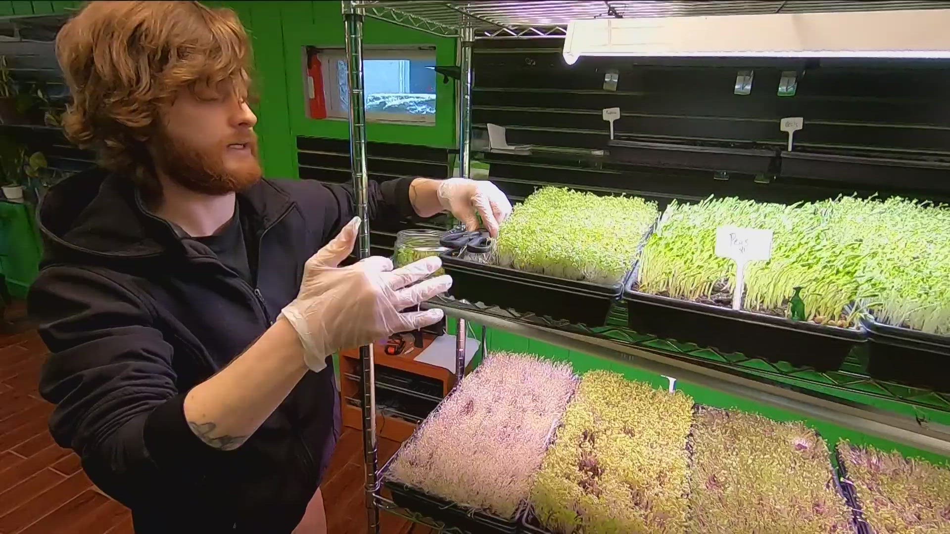 Joey Linder opened The Green Door to help supply and educate the region on the benefits of microgreens.