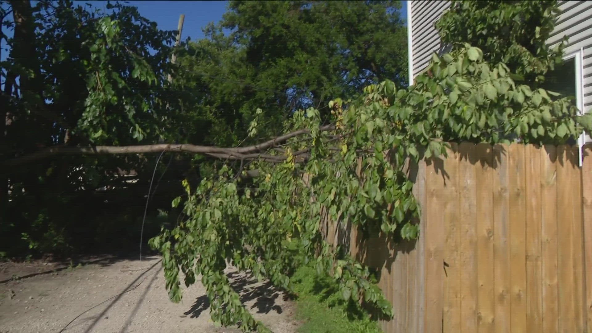 The homeowner said the trees fell on his house and property during a recent storm and that no one has been willing to claim responsibility or take care of the issue.