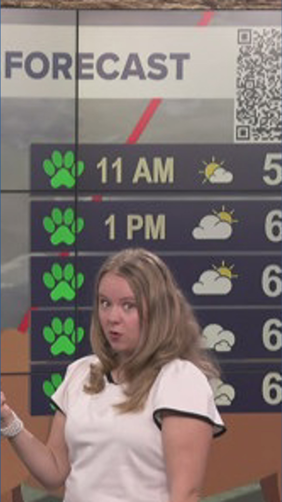 Dog walking forecast: Green paw beautiful day with temps reaching the ...