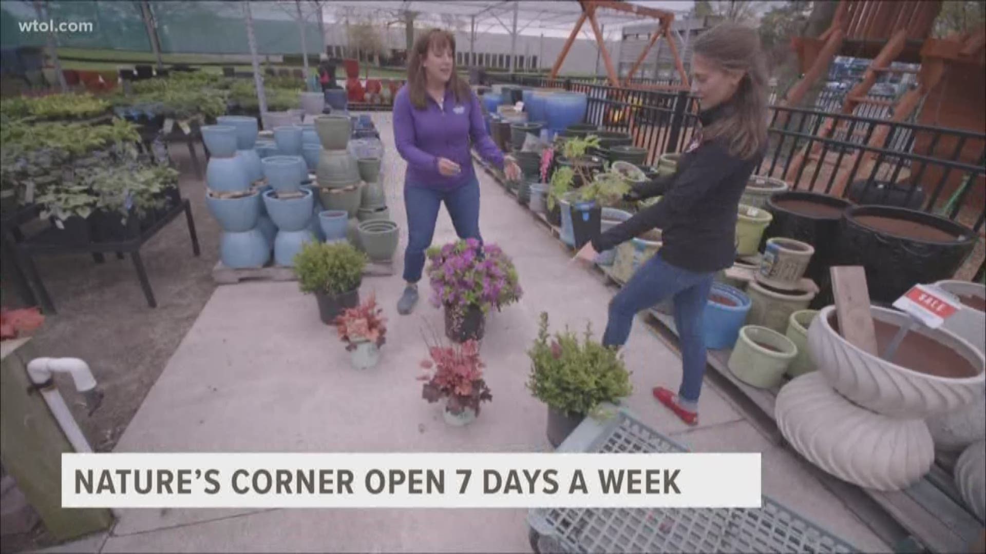 Go 419 has the best tips from Nature's Corner on how to manage shaded flower beds