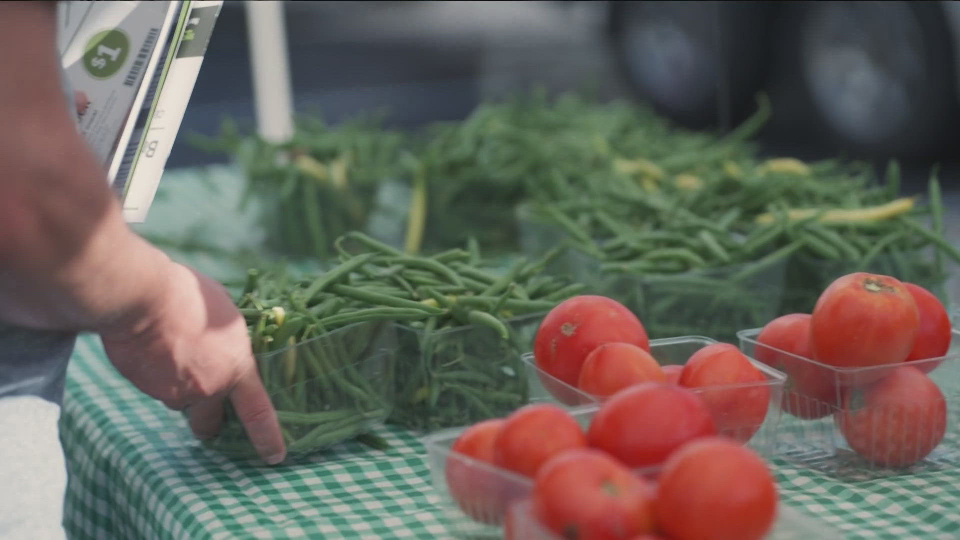 Buckeye Fresh Day allows families to get hundreds in combined food vouchers.