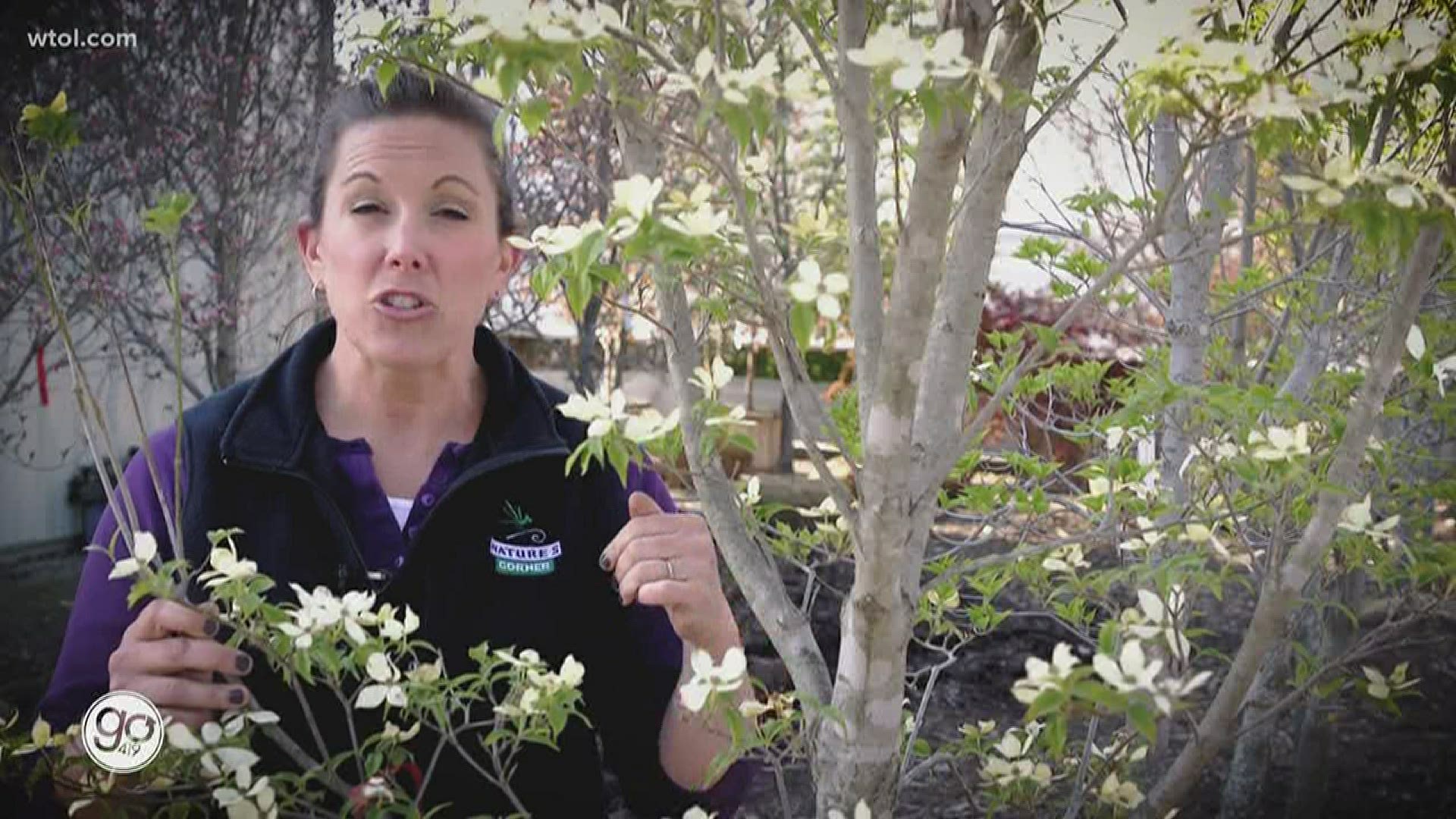Jennifer with Nature's corner goes over the steps to spruce up your garden.