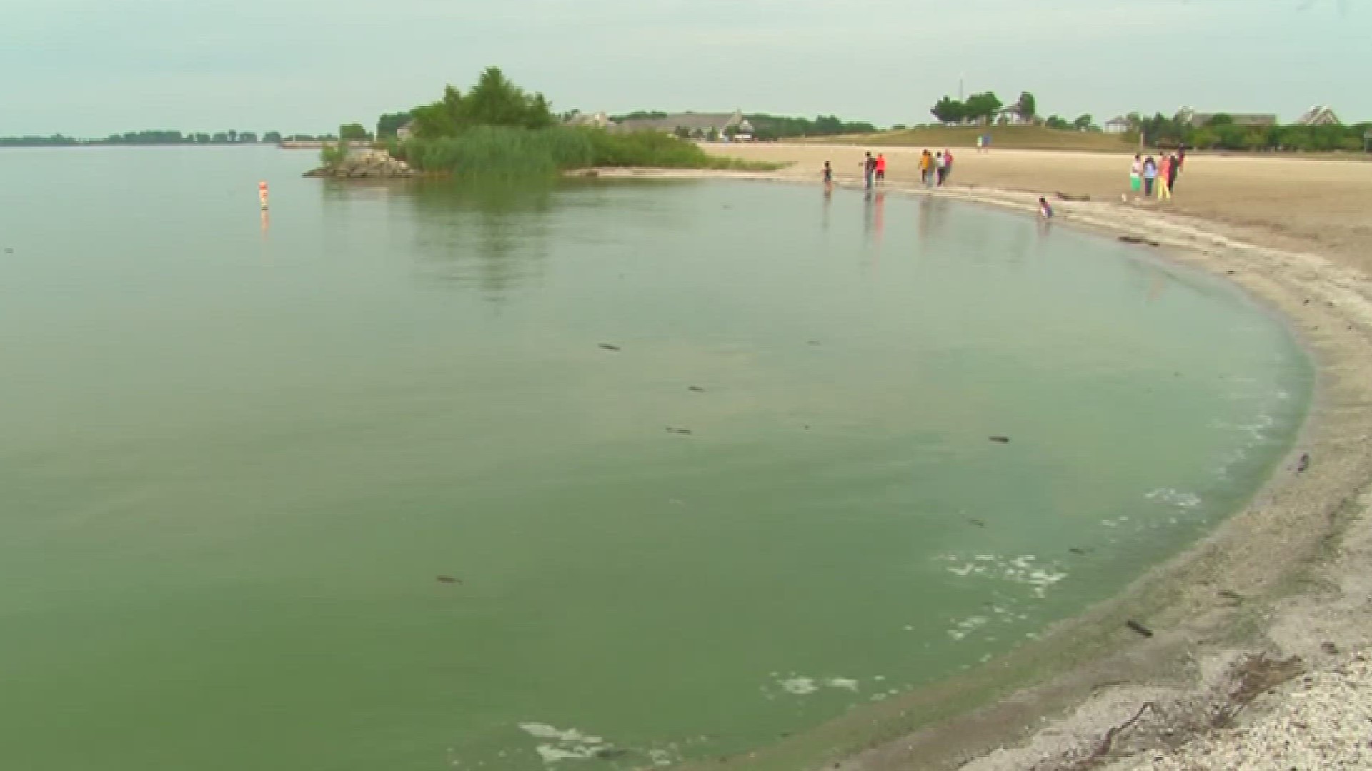 The official forecast will be released closer to the end of June. But until then, here is an early look at what to expect of this year's algal bloom.