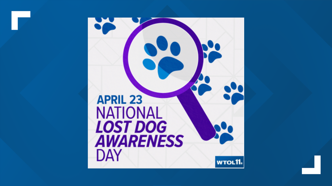 National lost dog awareness sales day