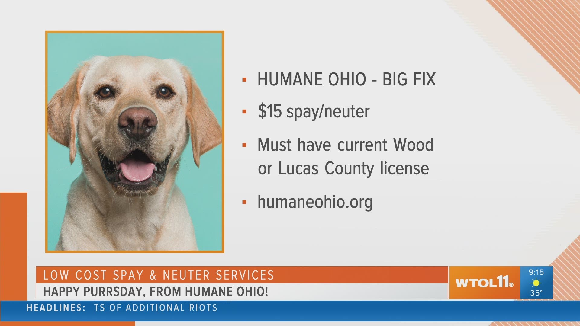 Humane Ohio's Big Fix is on, meaning you can bring your licensed dog to be spayed or neutered for $15.