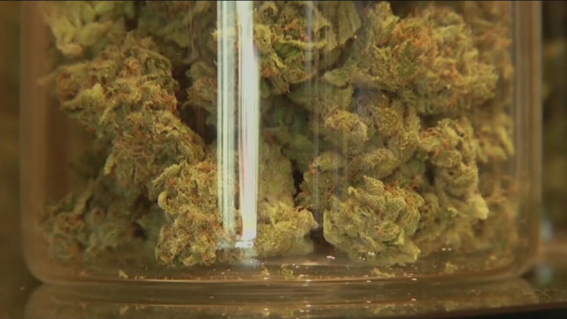Medical marijuana dispensaries can now apply for recreational licenses, paving the way for shops to begin selling to the public.