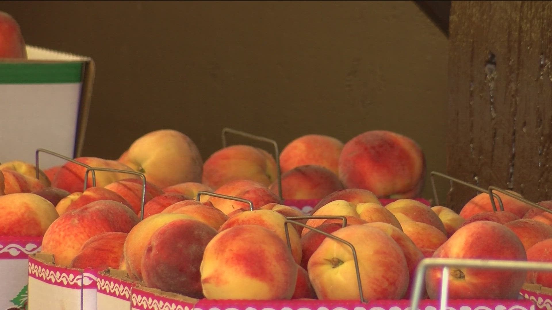 Farms in northwest Ohio have opted out of selling peaches because they are costly to produce.