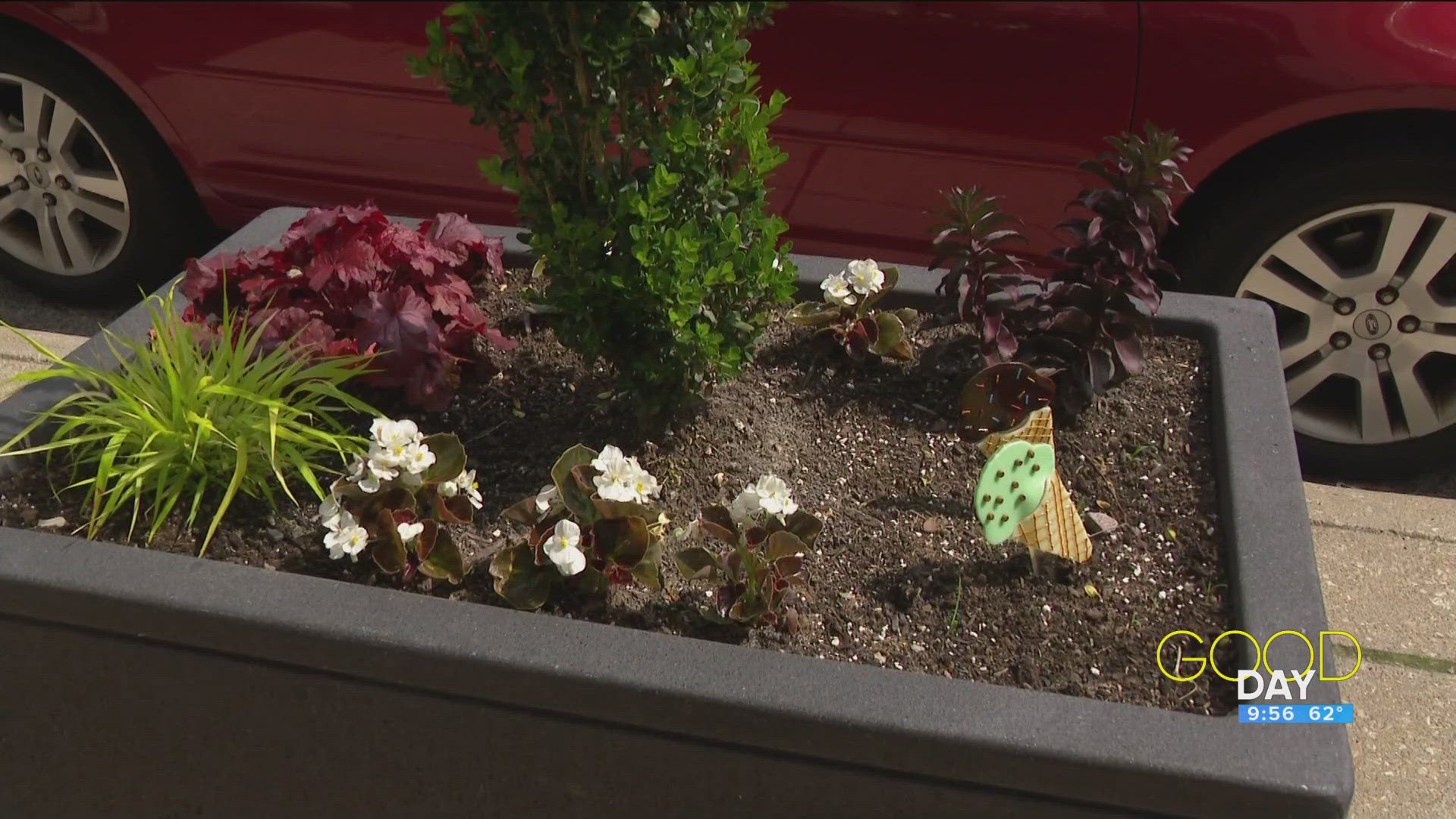 Amanda Fay checks in with the Toledo School for the Arts to see the unique approach students and staff are taking to bring color to their flower boxes.