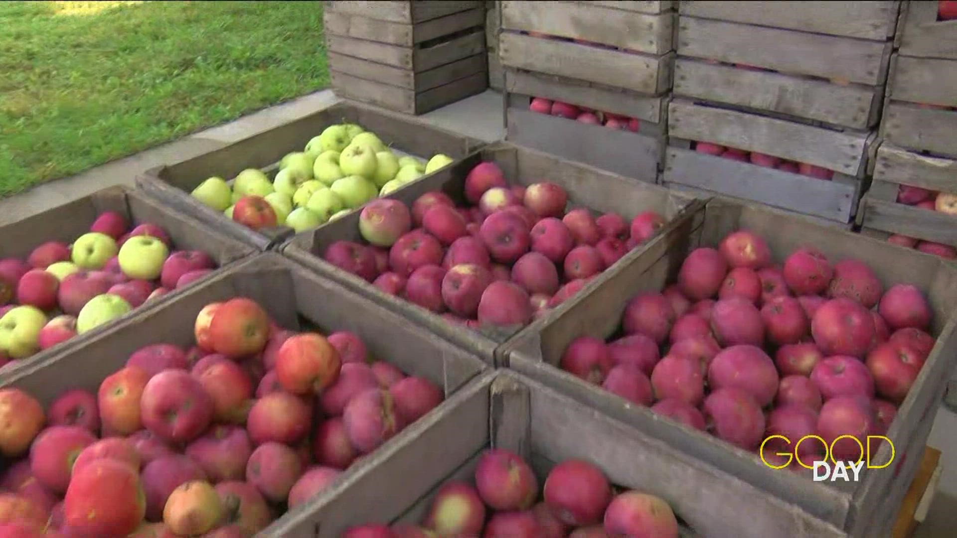 Ramp up for fall with Sauder Village during their 'Apple Week' which celebrates the versatility of a classic Ohio fruit.