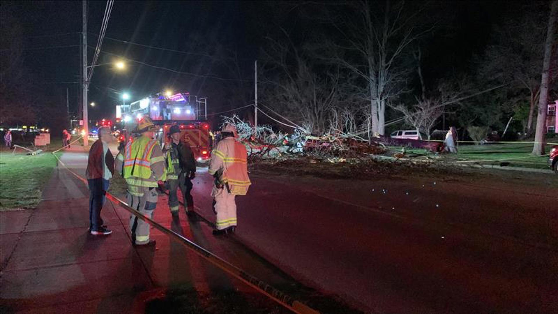 1 dead, another injured in west Toledo after tree falls onto car | wtol.com