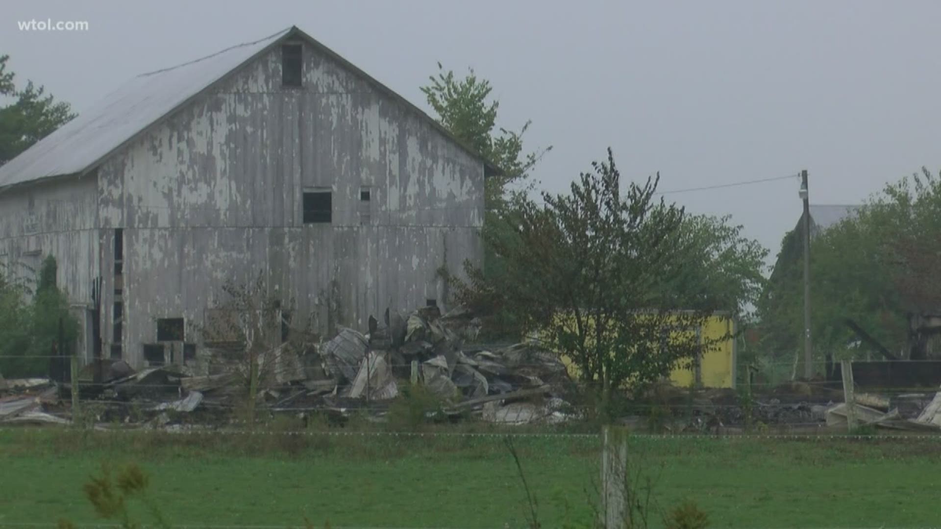 Four horses and a donkey died in a fire at Fantasy Acres in Middleton Township Tuesday.