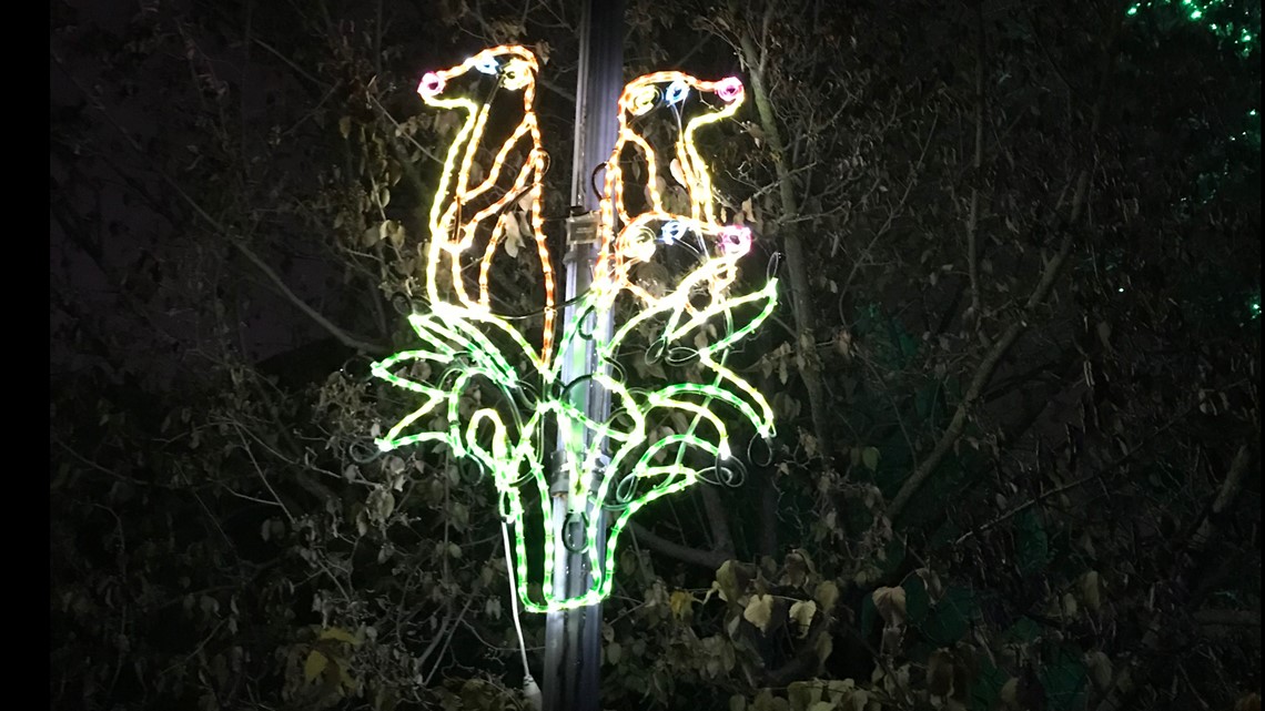 Lights Before Christmas opens at the Toledo Zoo with the treelig