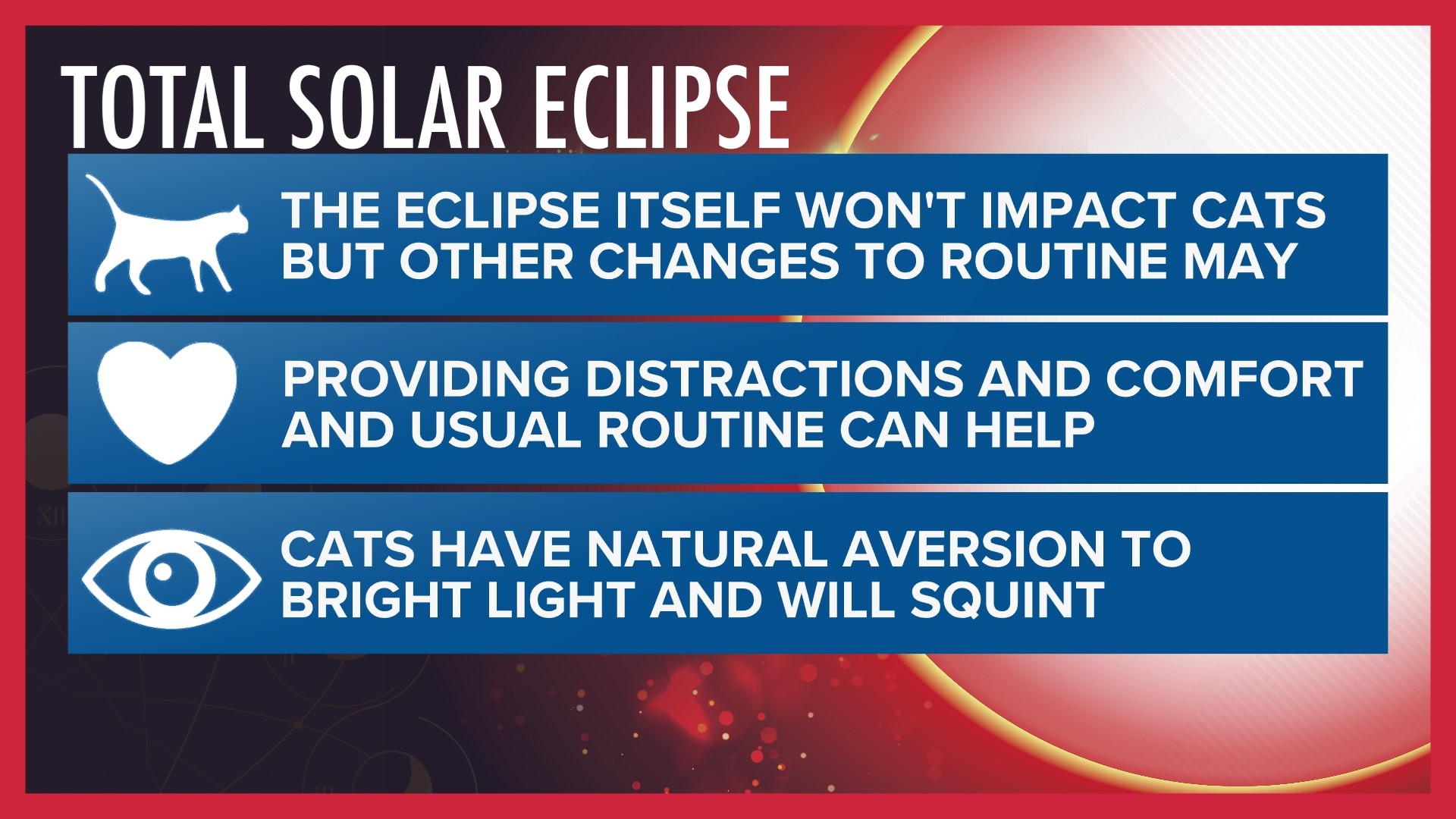 How to prepare pets for the total solar eclipse | wtol.com