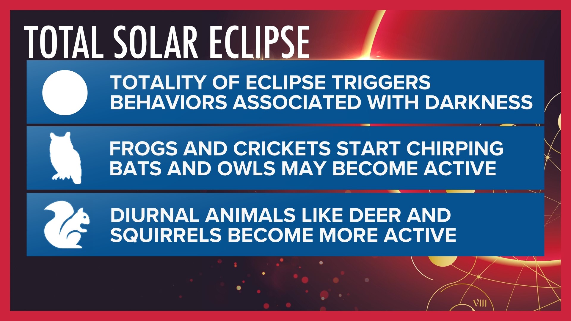How to prepare pets for the total solar eclipse | wtol.com