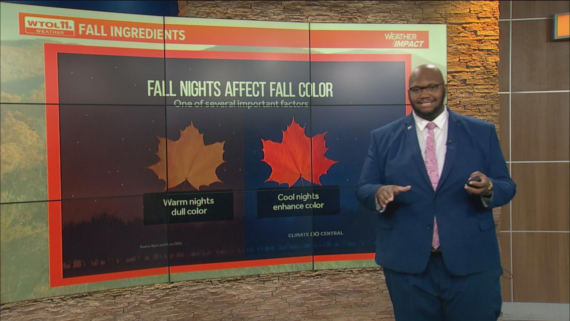 Meteorologist Matt Willoughby takes a look at the science behind autumn leaves and how they get their vibrant colors when the season changes.