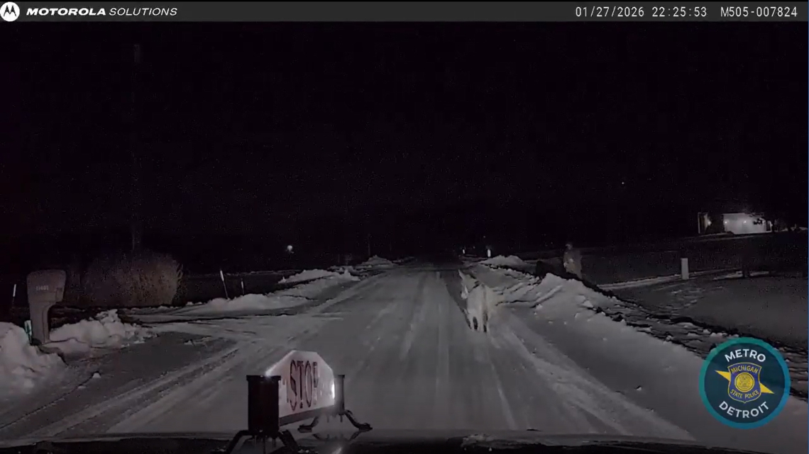 Michigan State Police help corral Dolly Parton, the runaway donkey