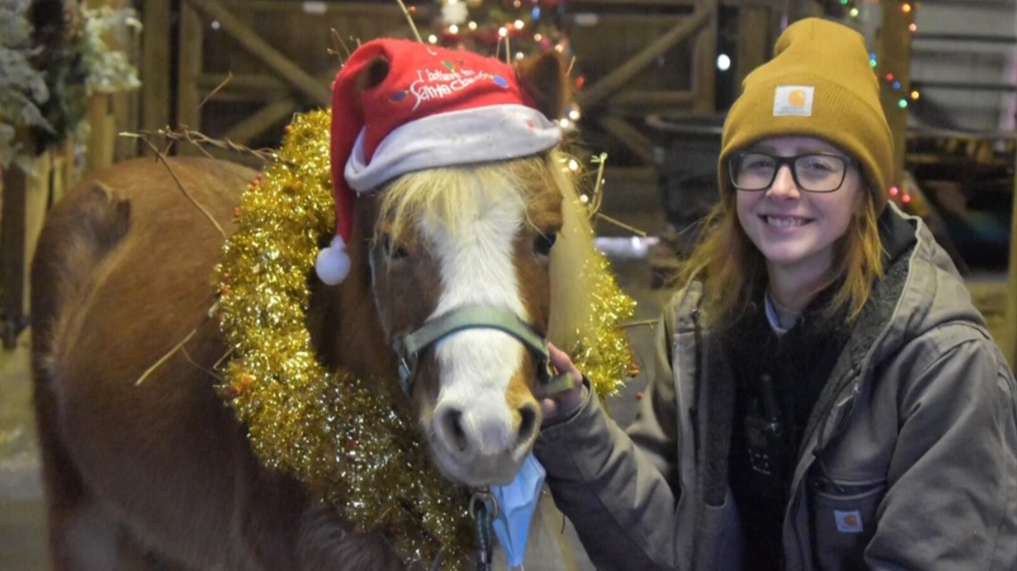 Bittersweet Farms 'Market & Merry' holiday shopping event