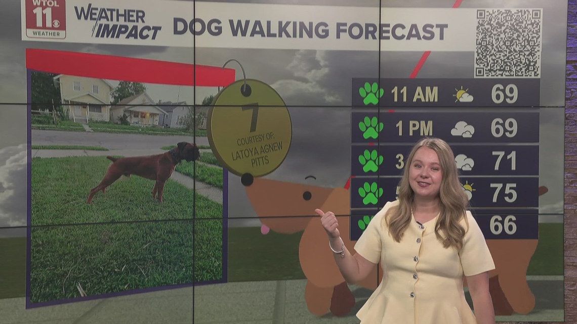 Dog walking forecast: 'green paw' day despite rain | Good Day on WTOL ...