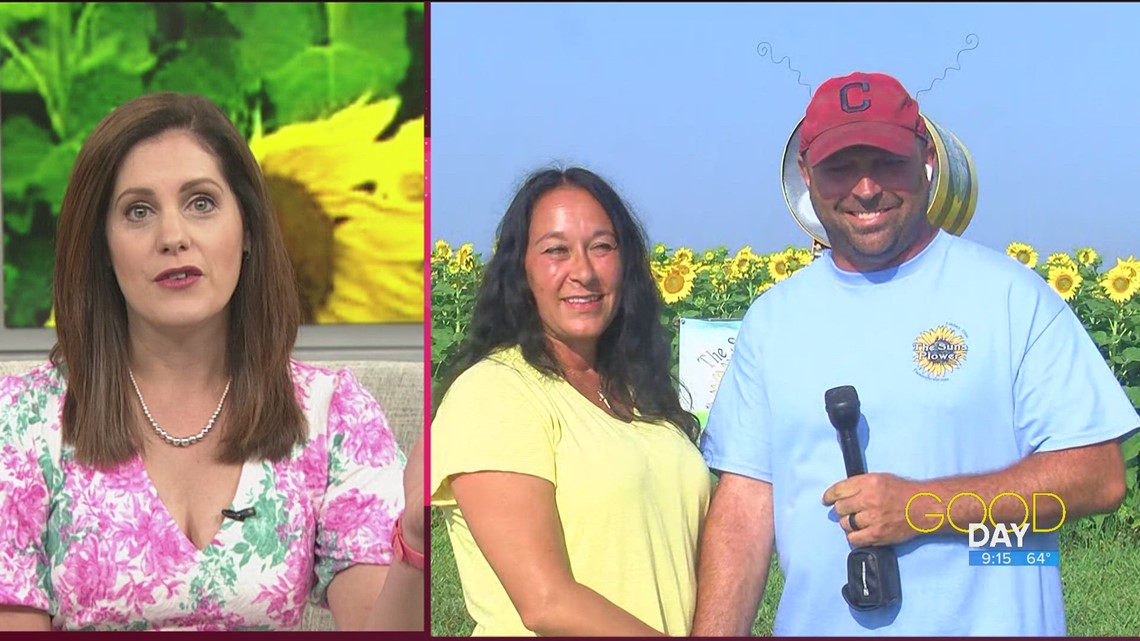 It's sunflower season! Check out this 50acre sunflower farm with more