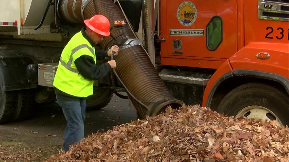 When does leaf collection begin in the city of Toledo?
