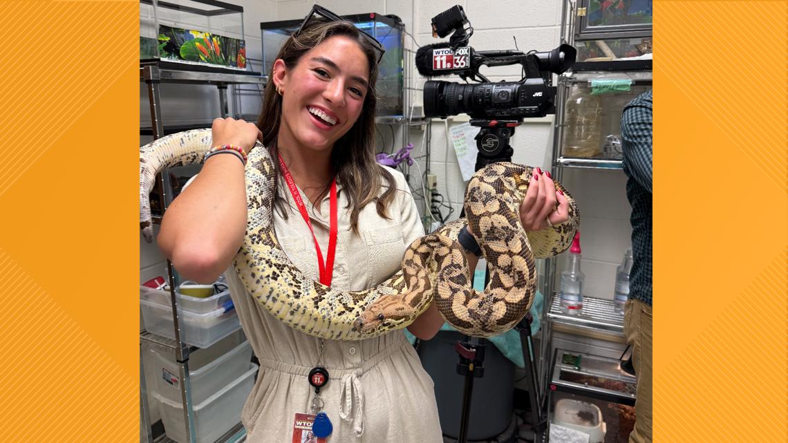 Gator Lab Basel BGSU's Herpetology Lab offers unique educational experience to the ...