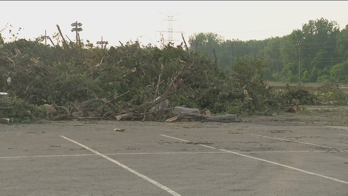 What will happen to all of the trees uprooted by the Point Place
