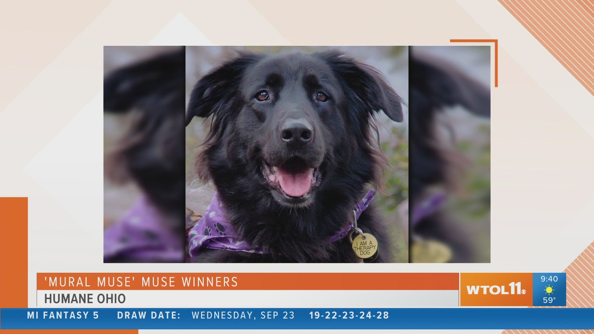 Humane Ohio announces their "mural muse" winners, and says they have plenty of animals looking for their forever home!