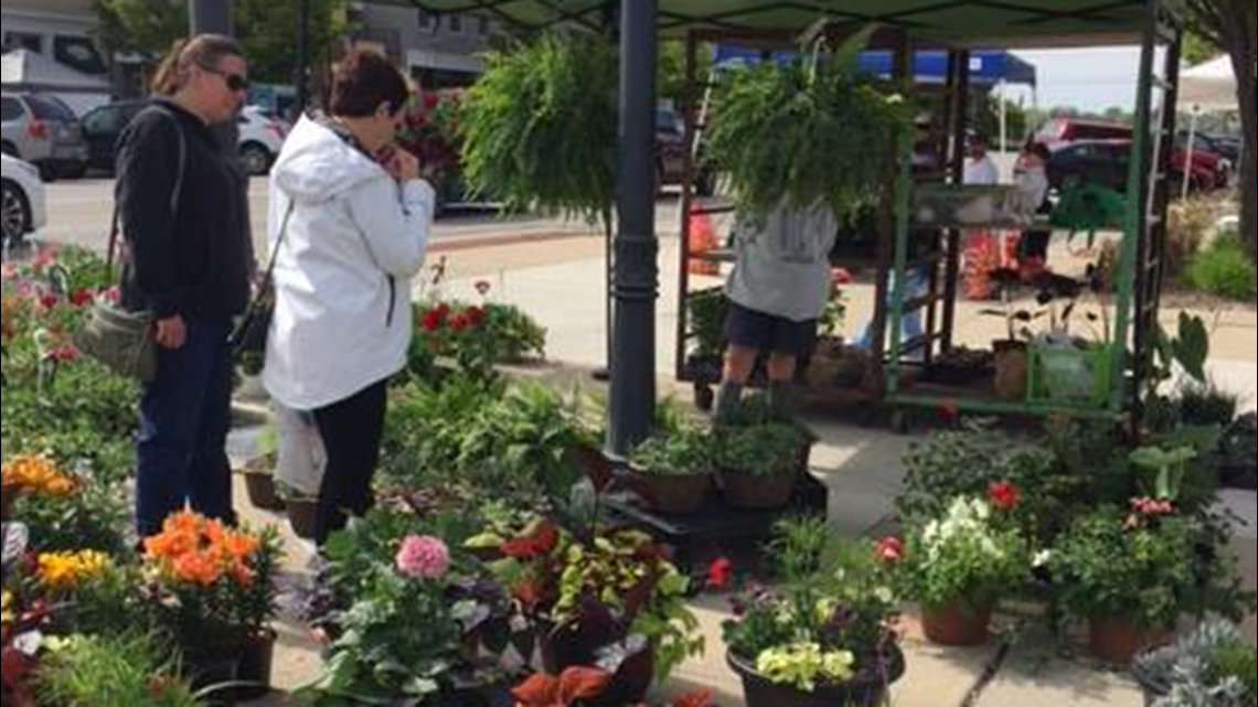 Perrysburg Farmers Market opens for the season today