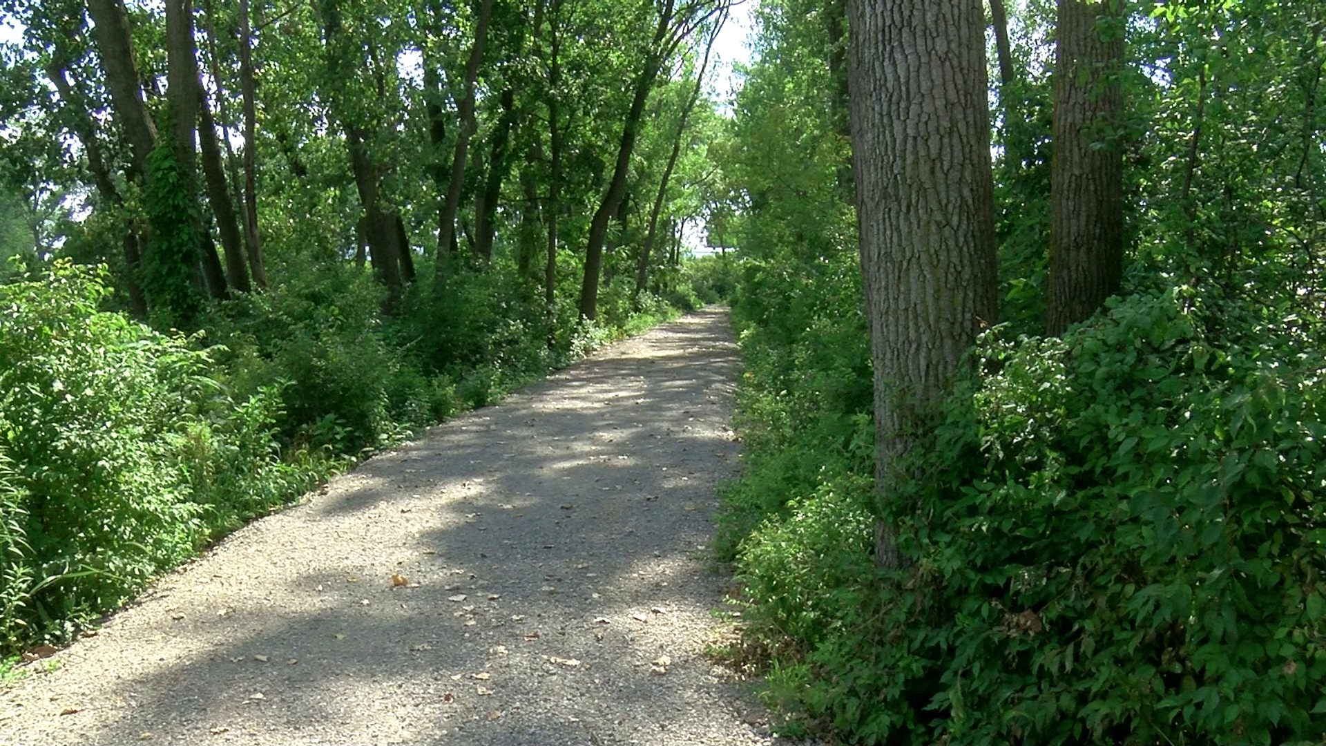 Former Toledo dump site transformed into new Pontiac Preserve nature park
