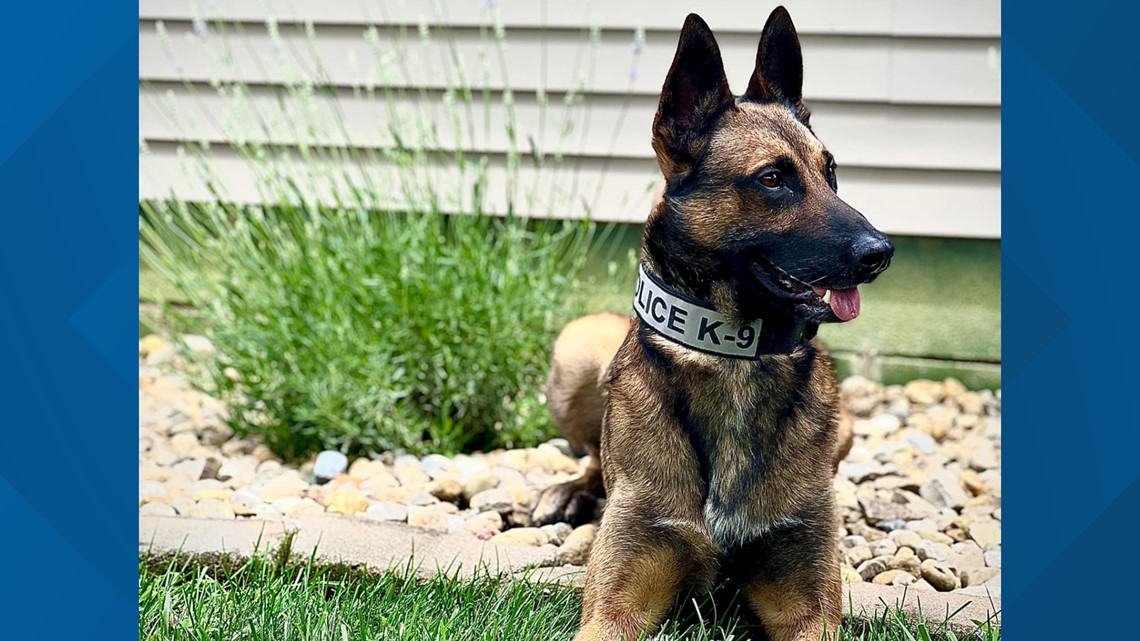 Fremont police debut new K9 Ace - Vimarsana News