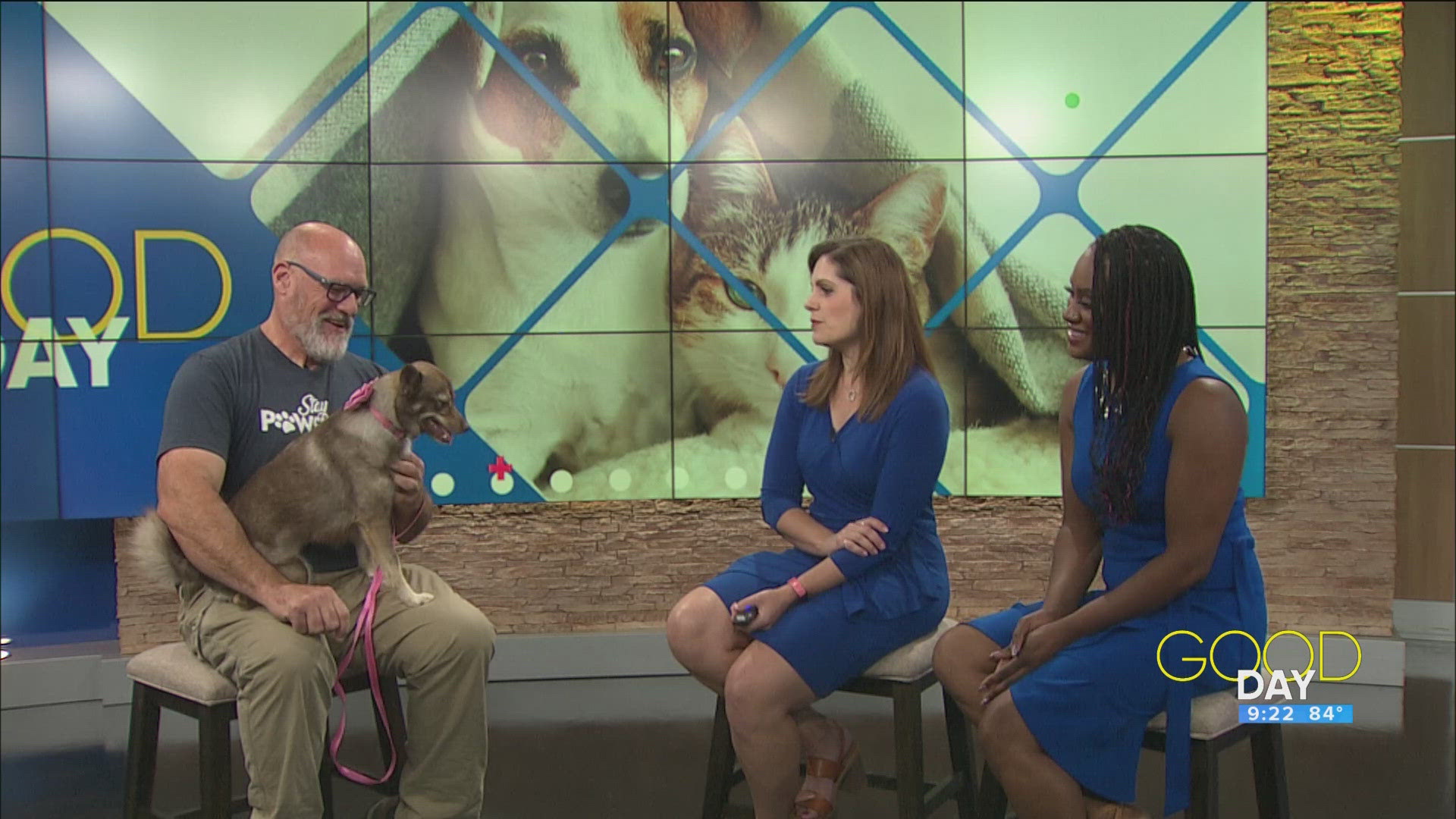 Toledo Animal Rescue has plenty of adorable animals like Zoe that can go home with you!