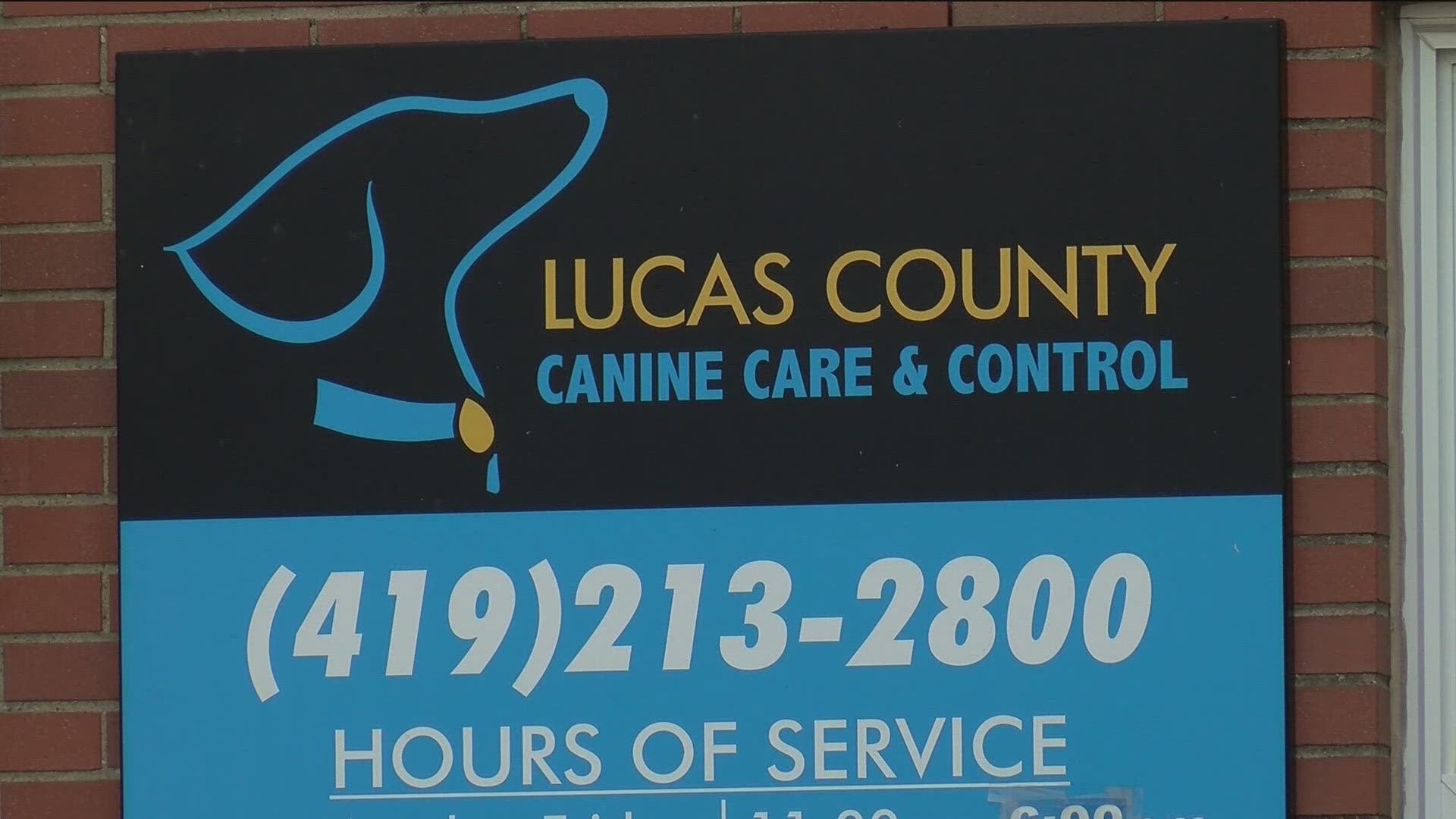 The county's report included an email from the now-fired warden recommending the employee be disciplined, "to the highest extent possible that the Union will allow."