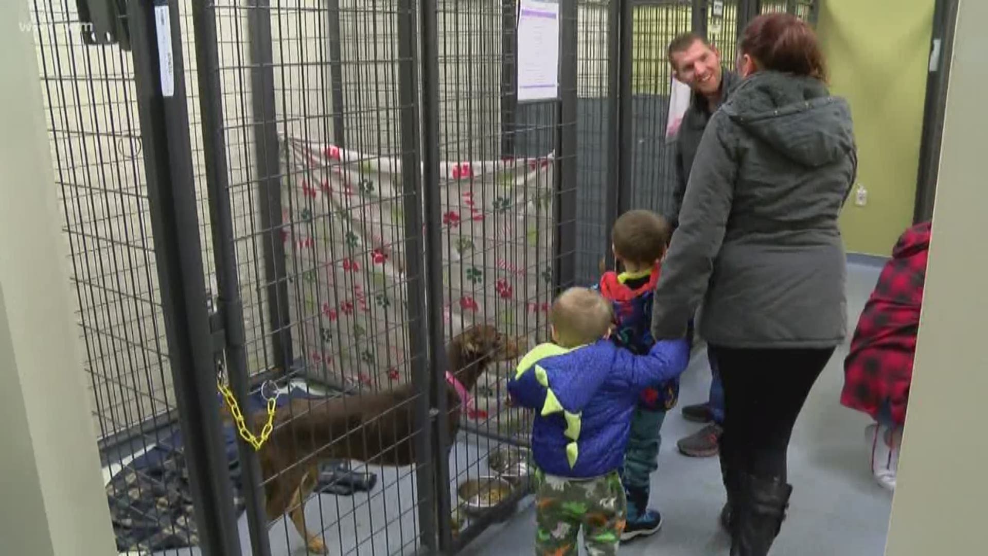 Toledo Area Humane Society is hosting the C.H.A.T. Club for kids 8 to 12 years old.