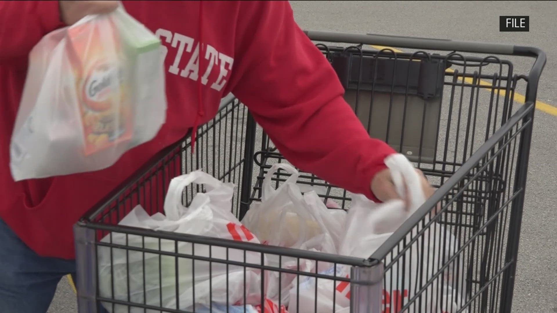 Toledo City Council members are taking a look at the city's food system.