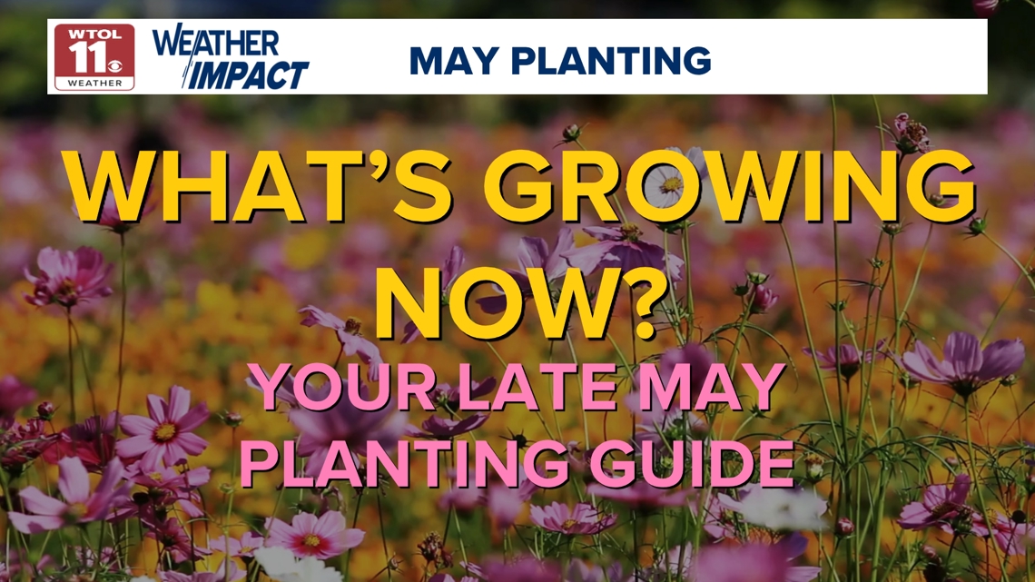 Toledo Weather | Toledo, Ohio | wtol.com