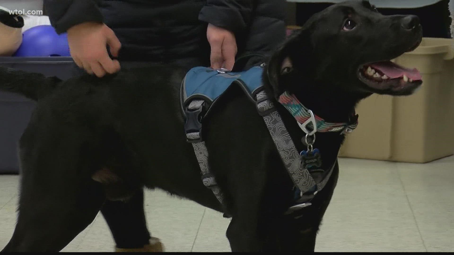 Gunner weighed only 24 pounds when he was found.