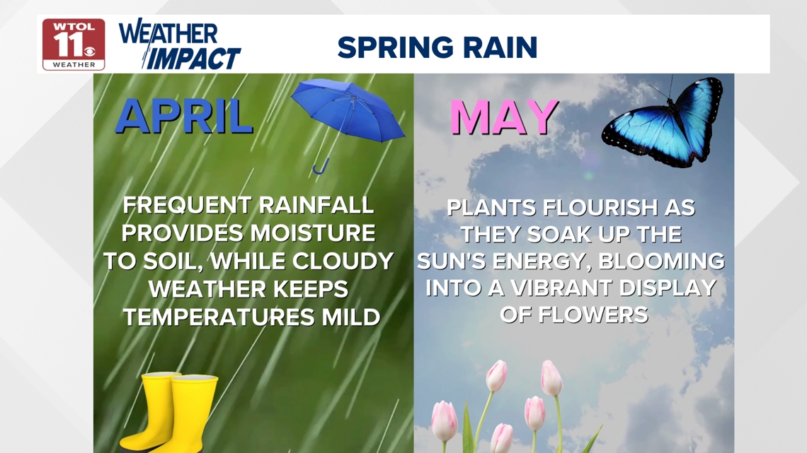 Do April showers really bring May flowers? The scientific answer | wtol.com