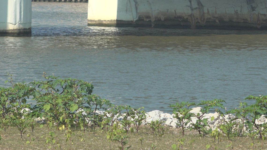 Great Lakes summit highlights restoration progress | wtol.com