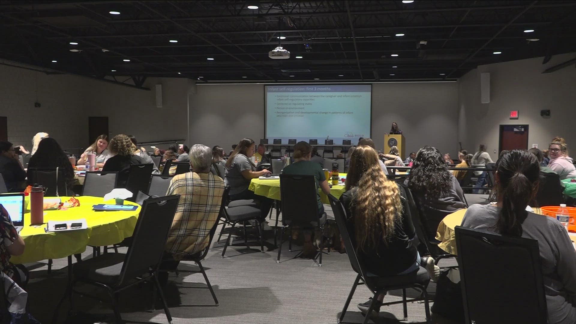 Dozens of professionals and students came together at a forum at Owens Community College on Friday to learn about trauma and warning signs.