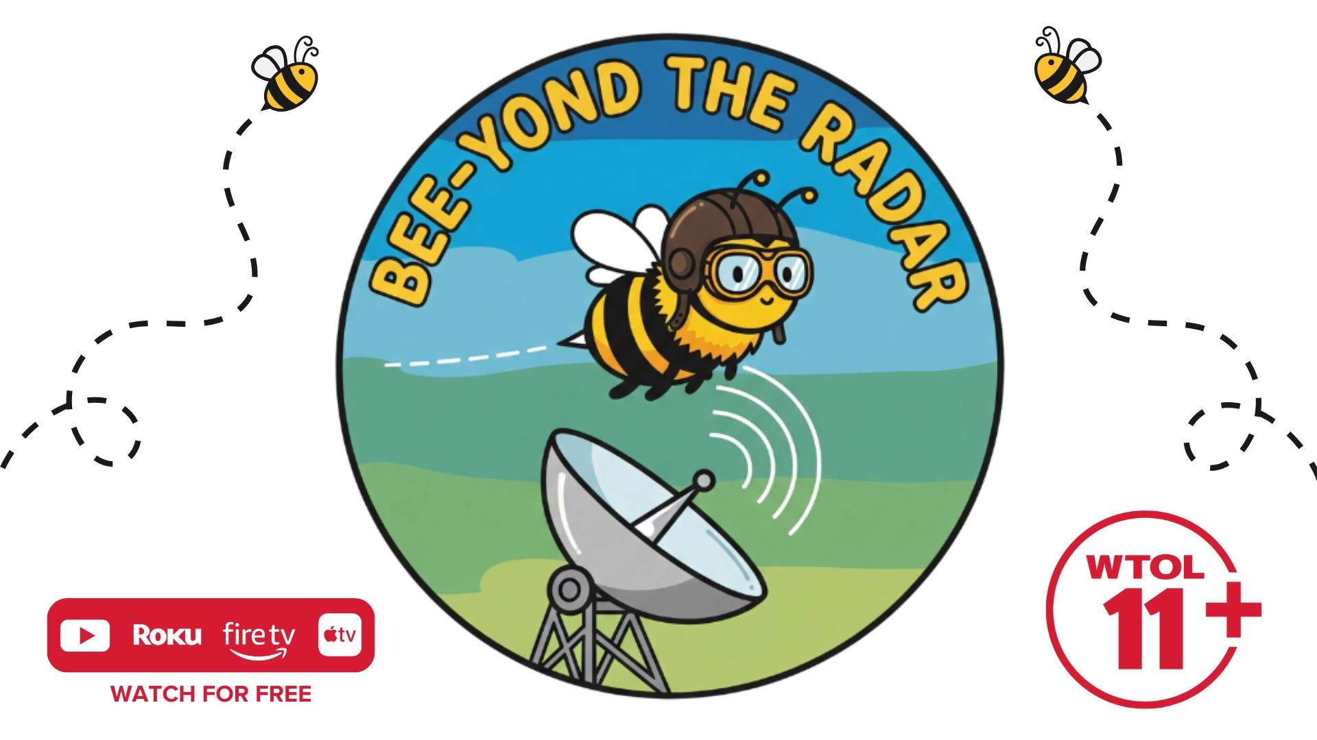 Let's get spelling! See what all the buzz is about as the Radar Rangers go head-to-head.