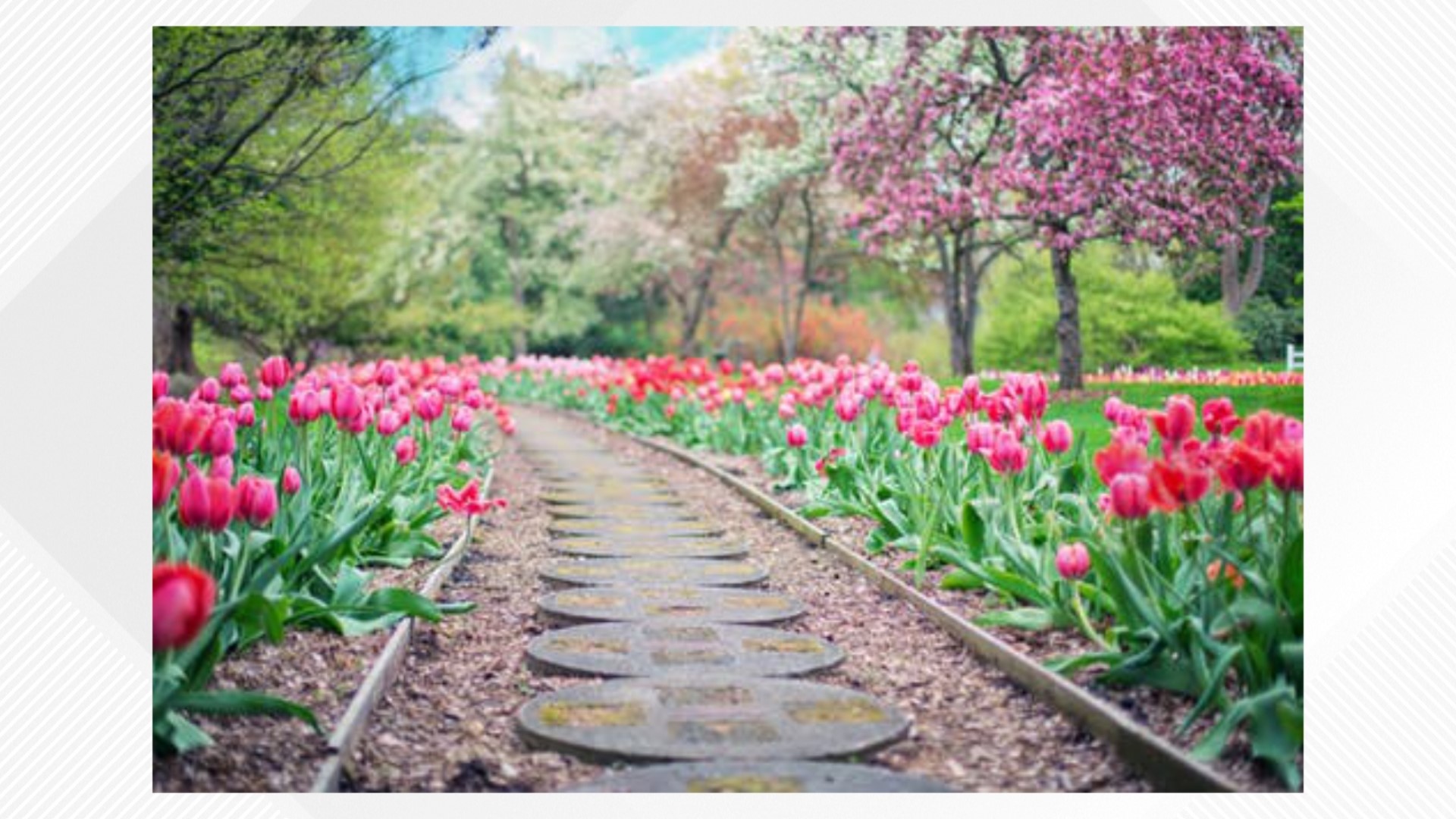 Diane Phillips does a deep dive into the common springtime phrase "April showers bring May flowers". We learn where the phrase comes from, and if it's true!